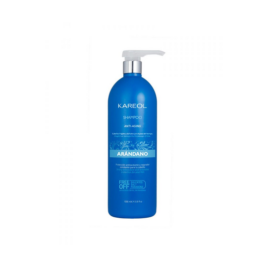 Kareol Chámpu Arandano Azul 1L